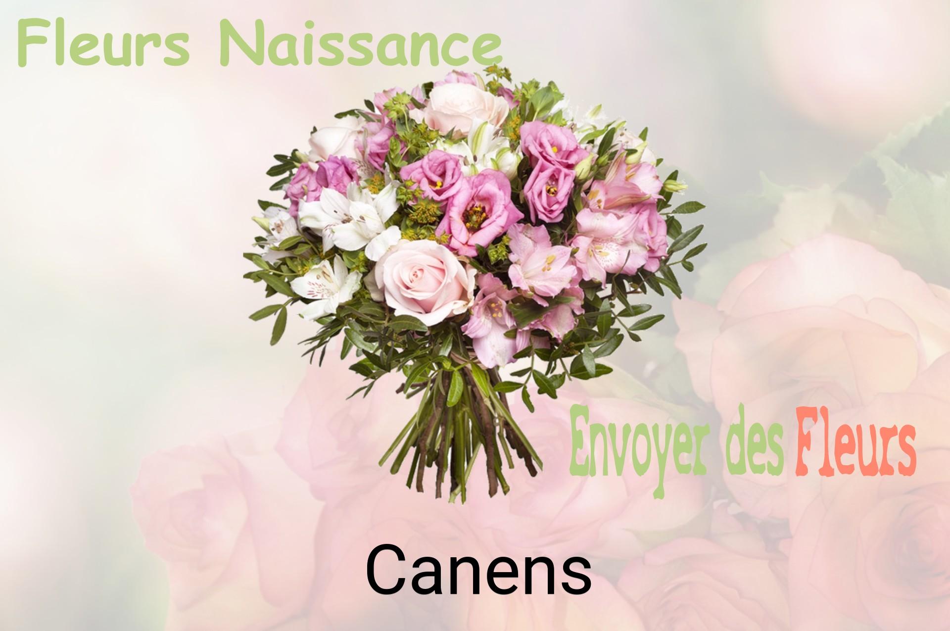 Bouquet de fleurs de naissance livré à Canens