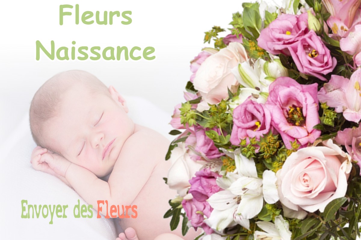 lIVRAISON FLEURS NAISSANCE à CANENS